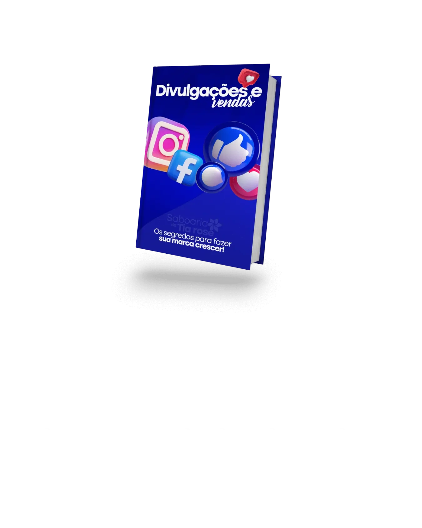 Curso de Saboaria da Tia Rose 4