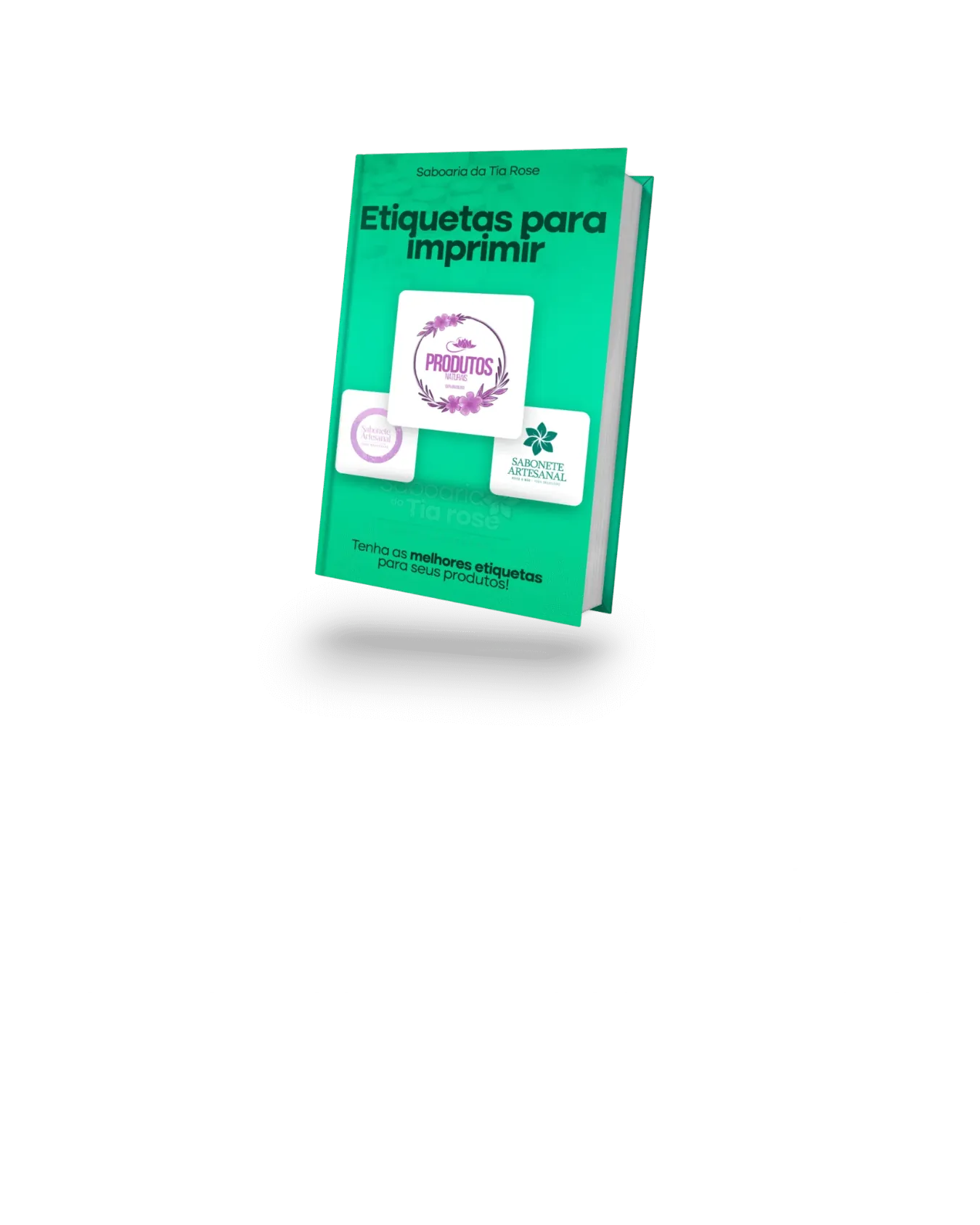 Curso de Saboaria da Tia Rose 6