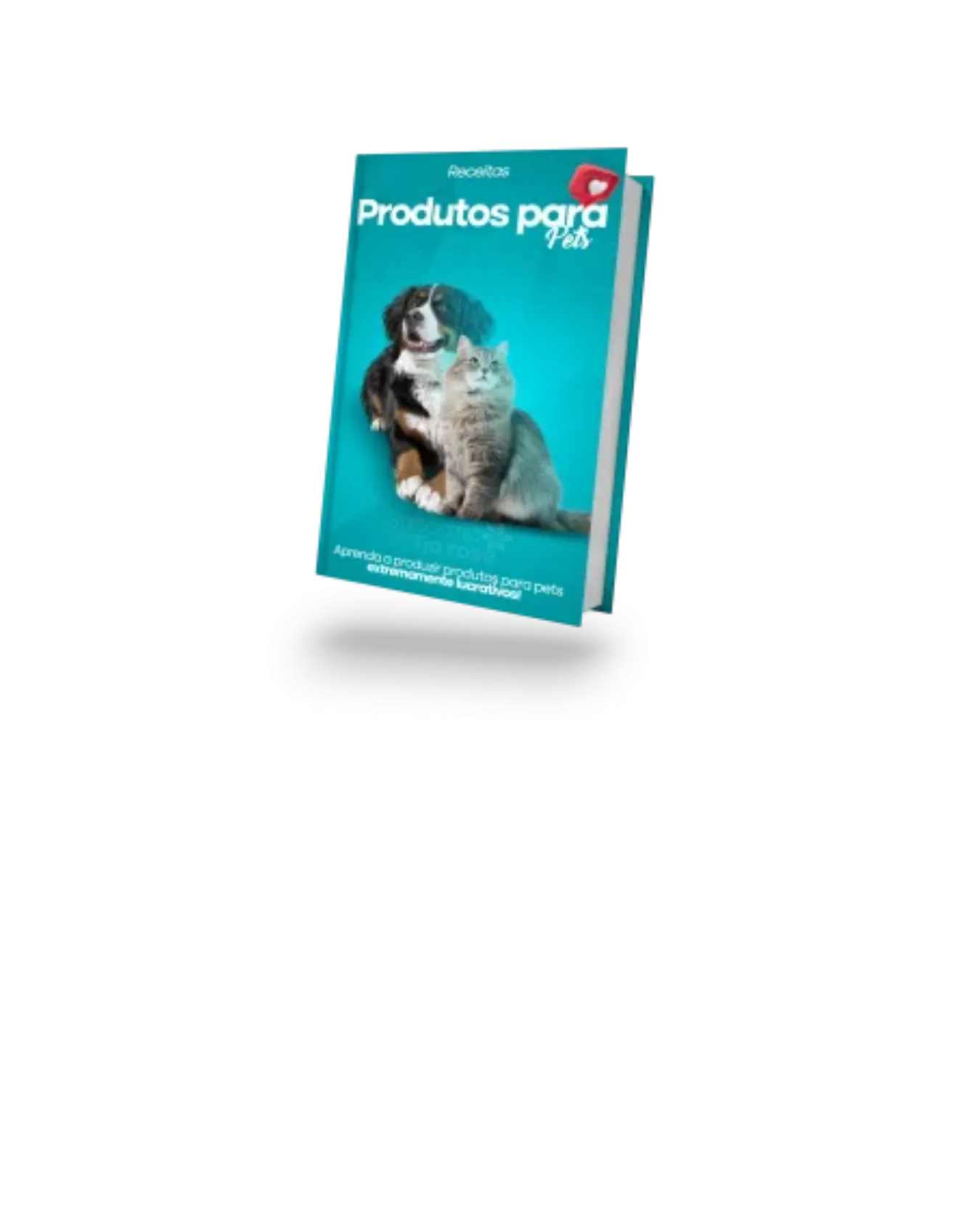 Curso de Saboaria da Tia Rose 2